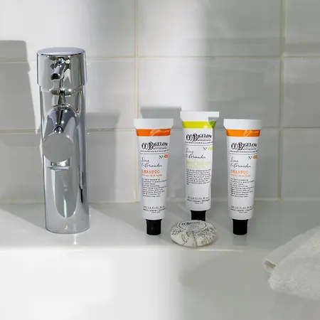 Wyld Saint Germain パリ