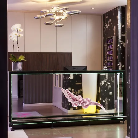 Wyld Saint Germain باريس