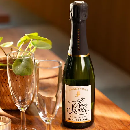 Wyld Saint Germain Hotel