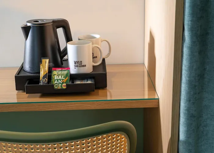 Wyld Saint Germain Hotel 3*